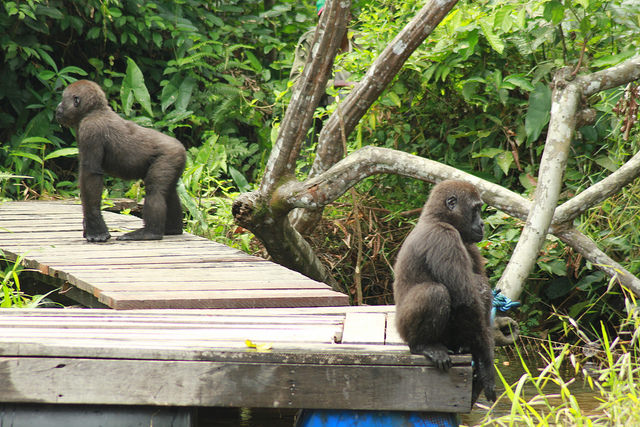 15157427304_4b30d476a7_z